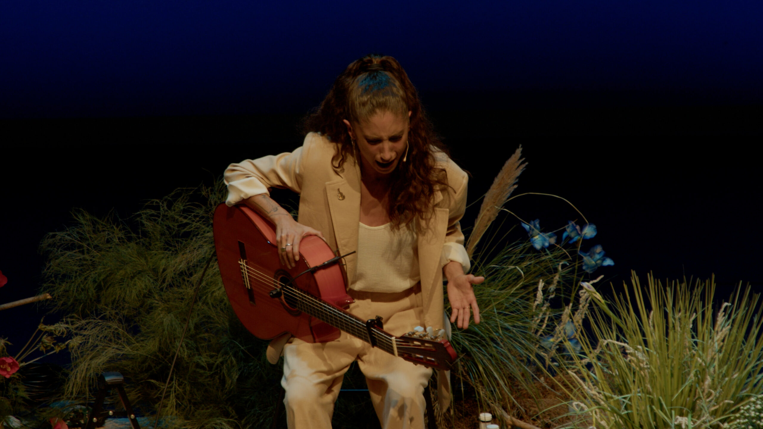 TEATROS CANAL SHOW.00_09_39_12.Imagen fija001